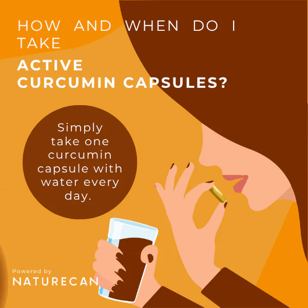 Active Curcumin Supplement - Image 8