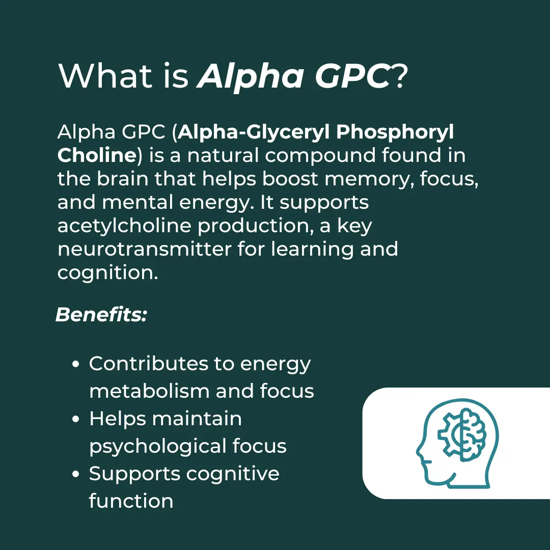 Alpha GPC - Image 3