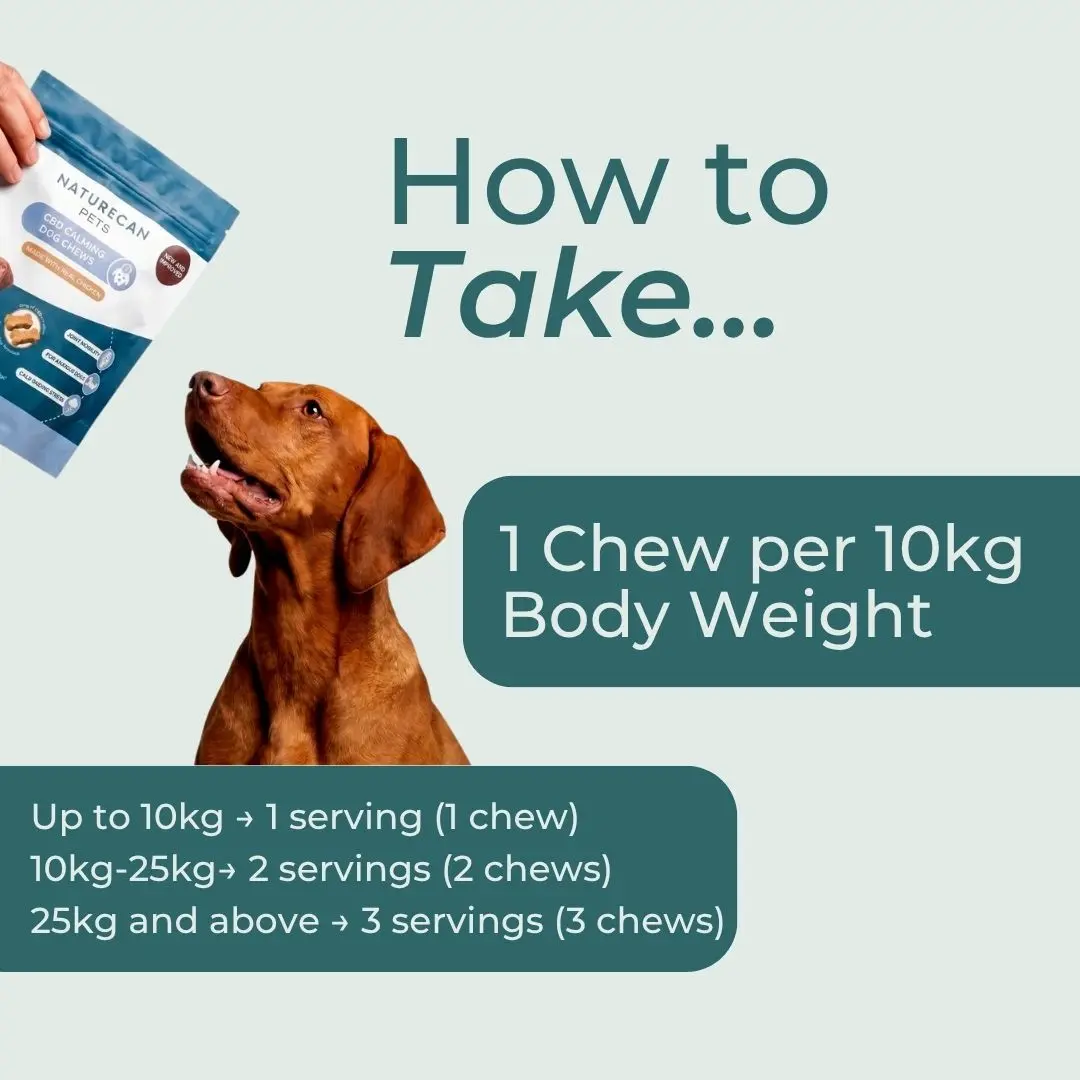 CBD Dog Treats for Calm - Image 10