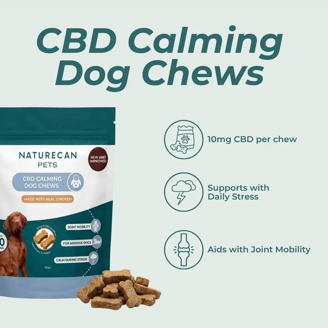 CBD Dog Treats for Calm - Image 6