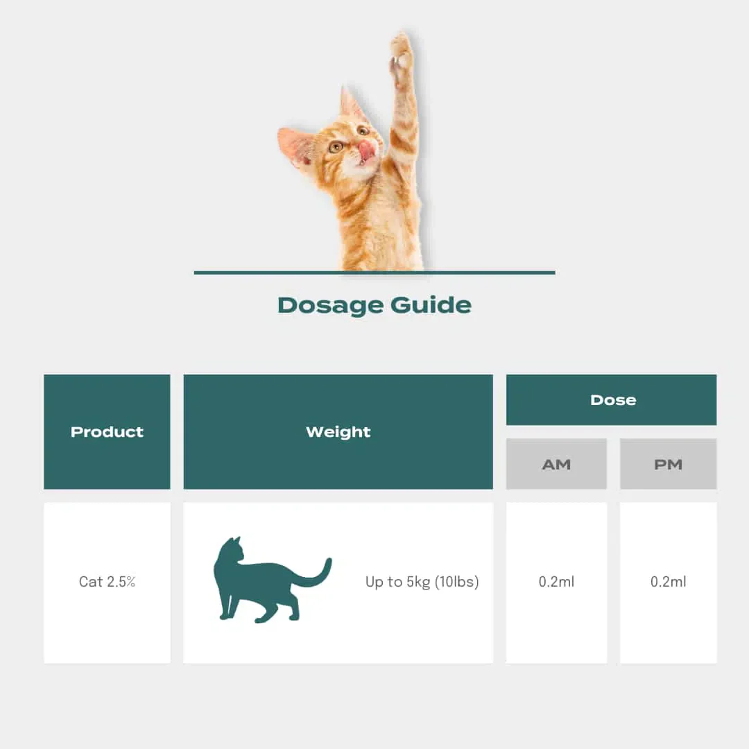 CBD Oil for Cats - Image 3
