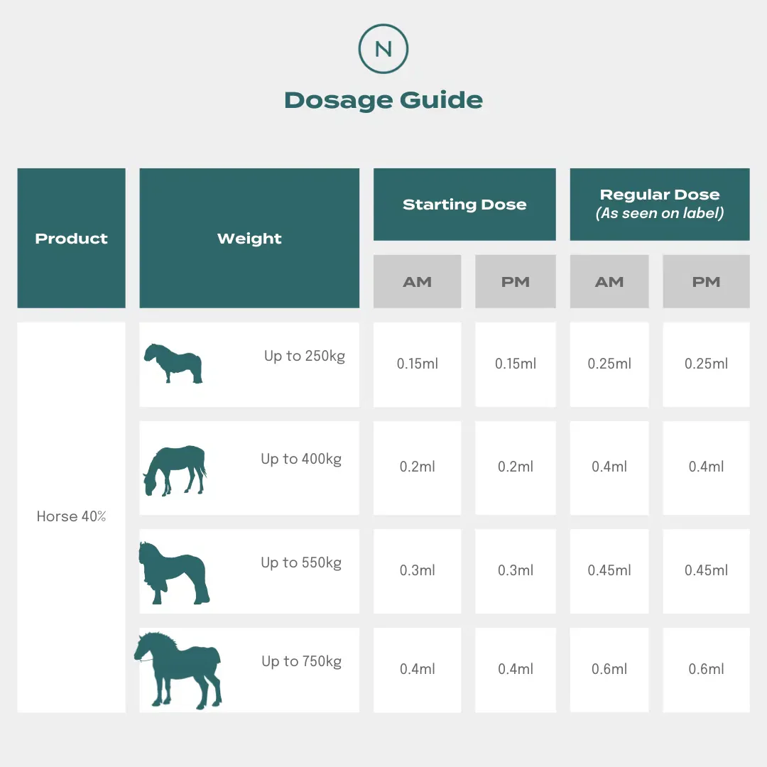 CBD Oil for Horses - Image 3