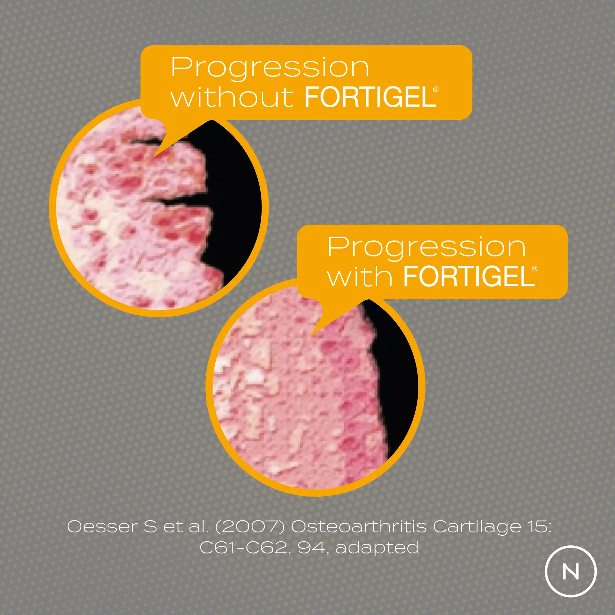 Collagen Peptides Powder - Image 13