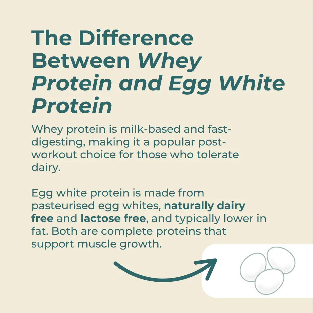 Egg Protein - Image 5