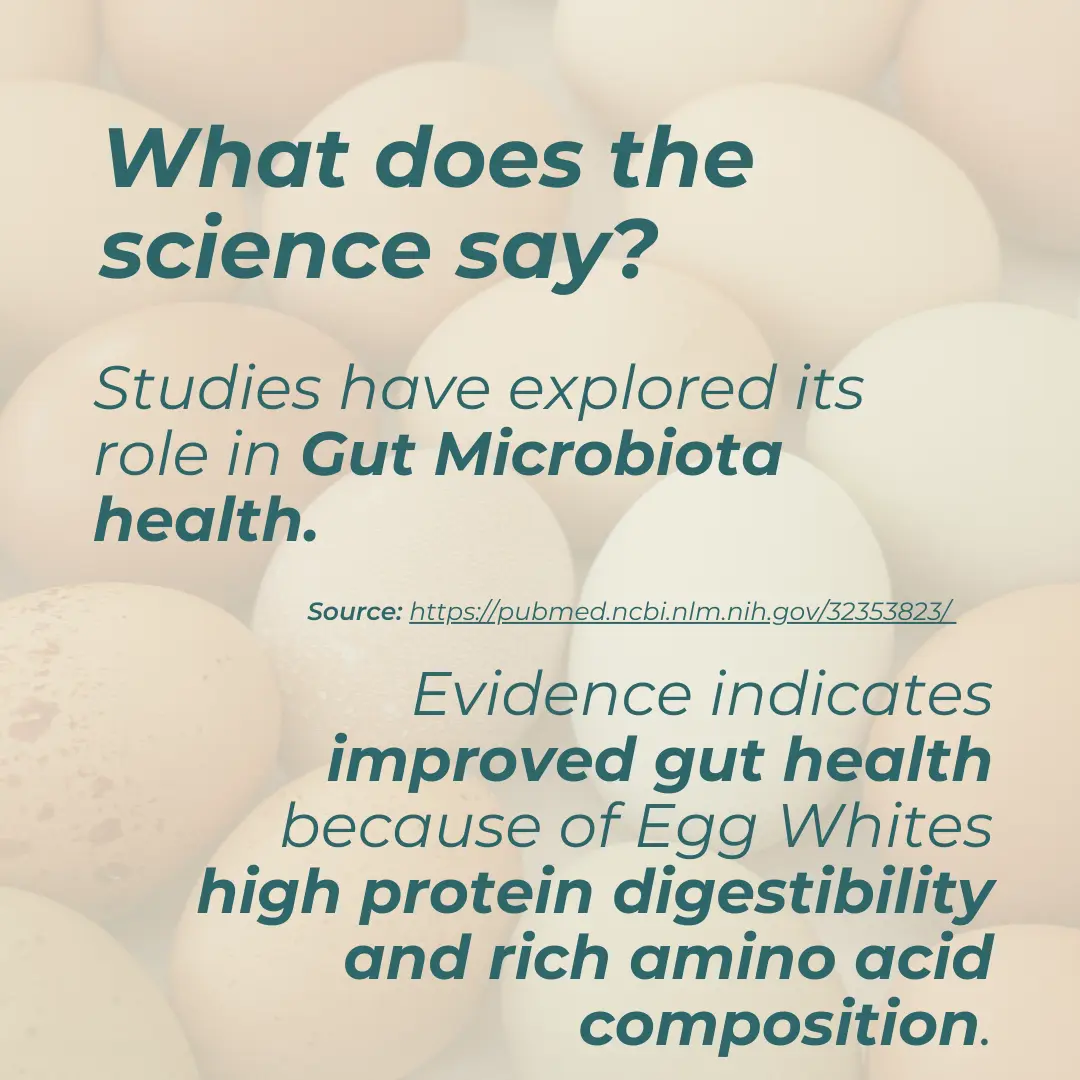 Egg Protein - Image 6