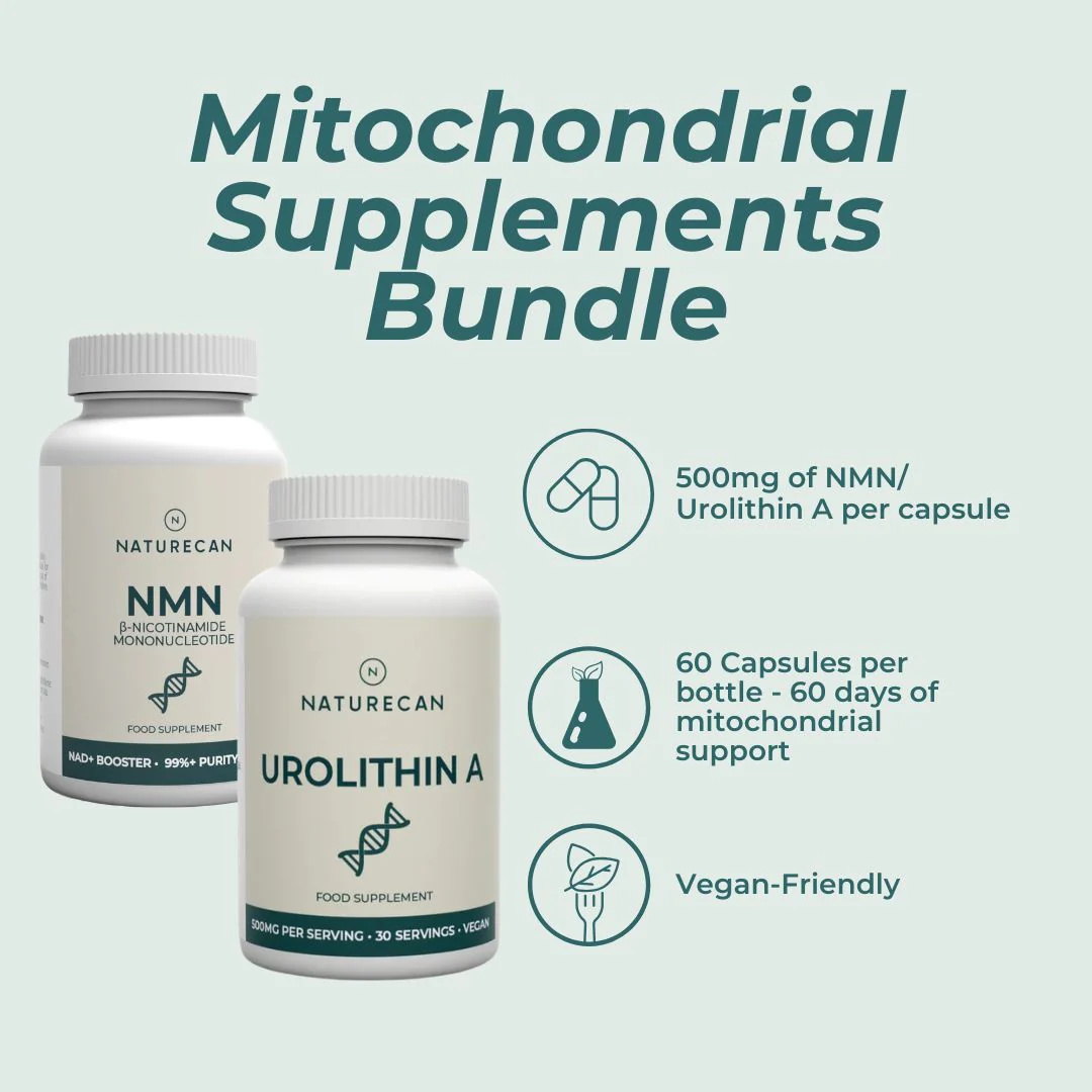 Mitochondrial Supplements Bundle - Image 2