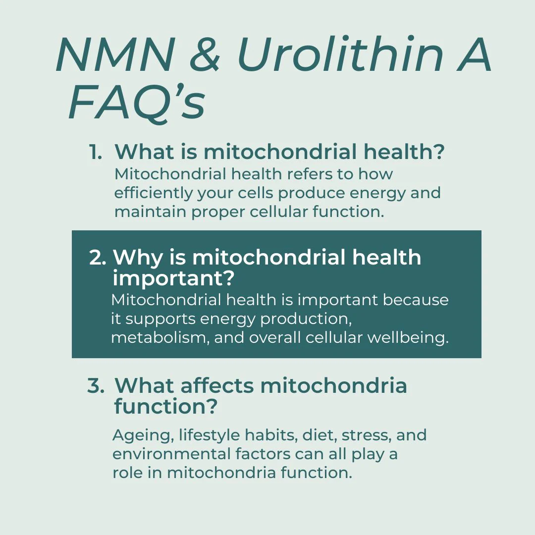 Mitochondrial Supplements Bundle - Image 6