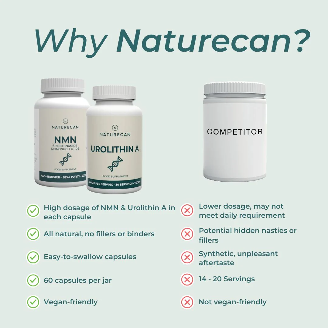 Mitochondrial Supplements Bundle - Image 7