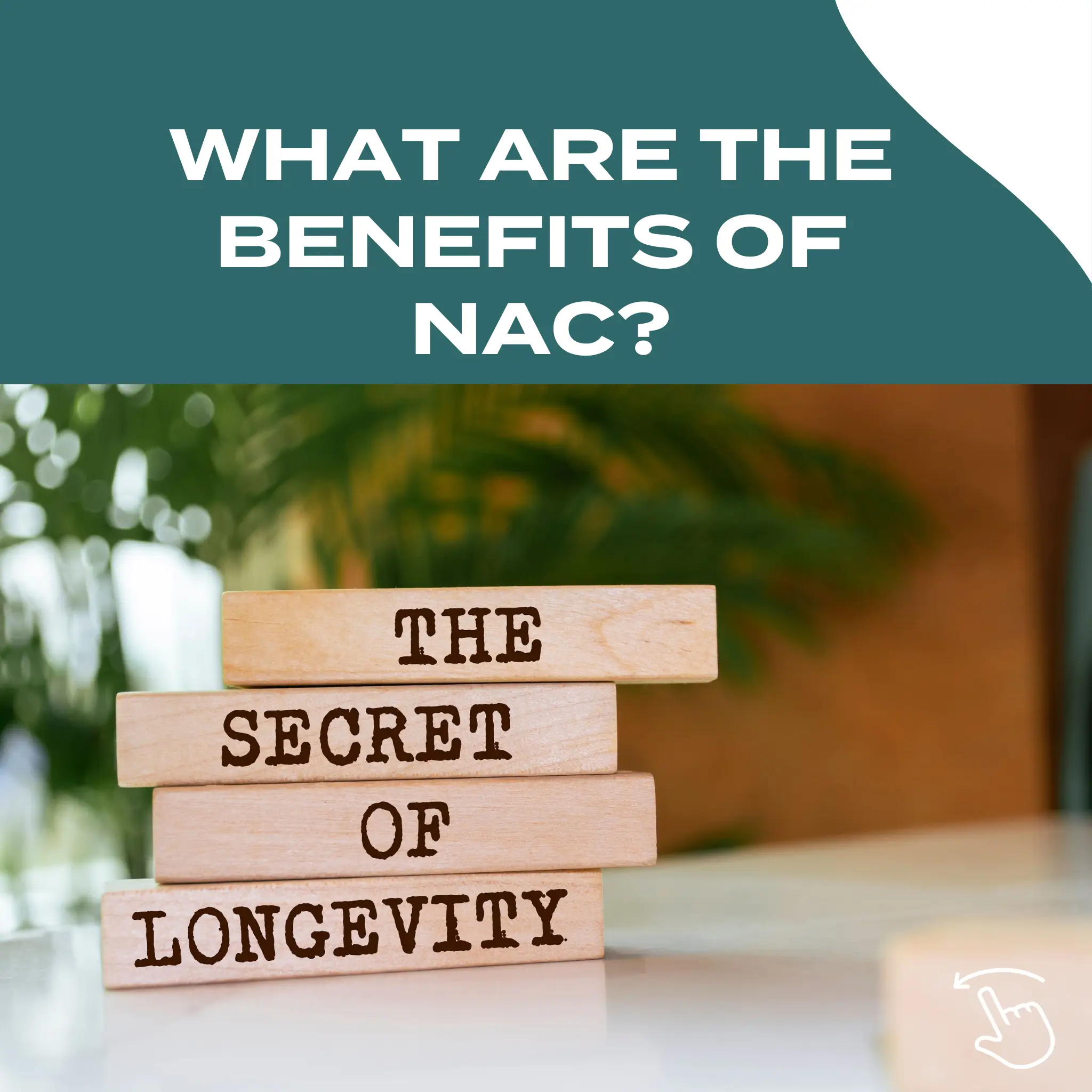 NAC Supplements - Image 3