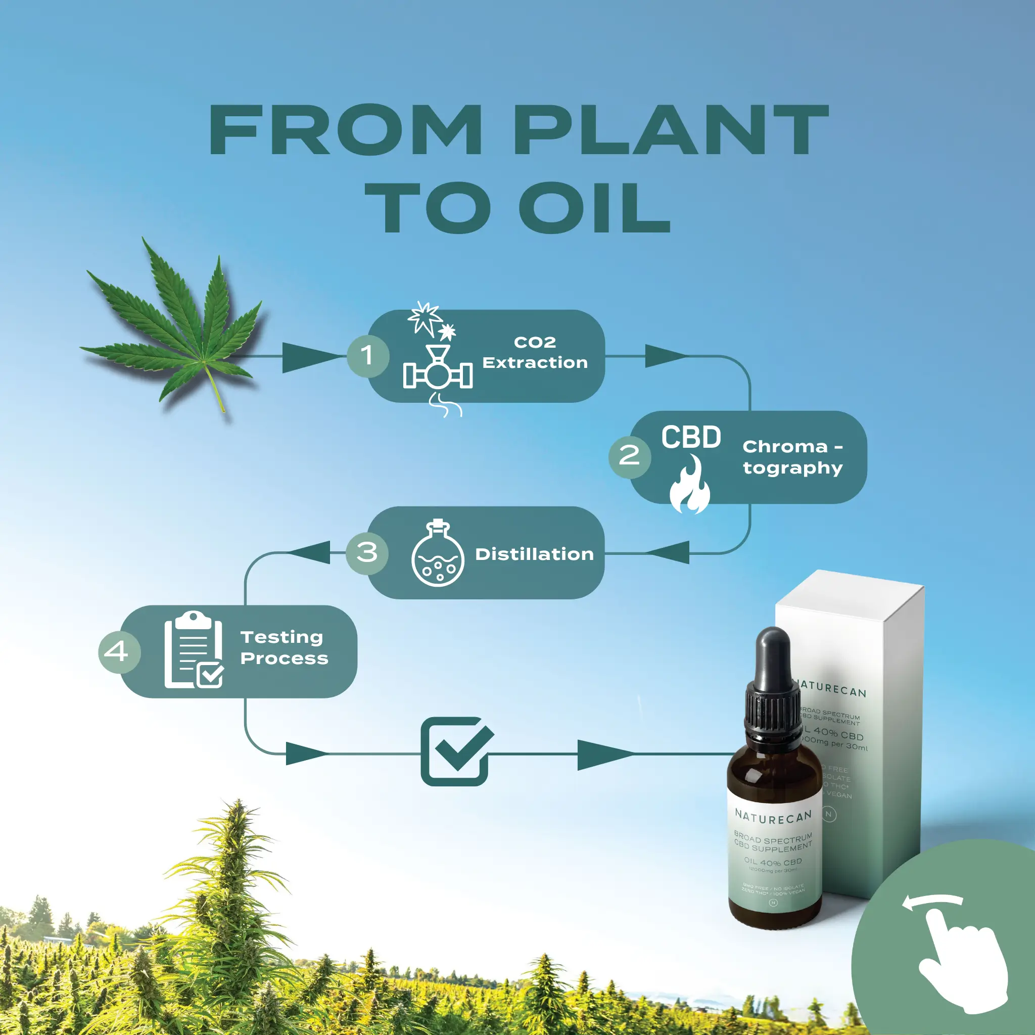 10% CBD Oil - Image 4