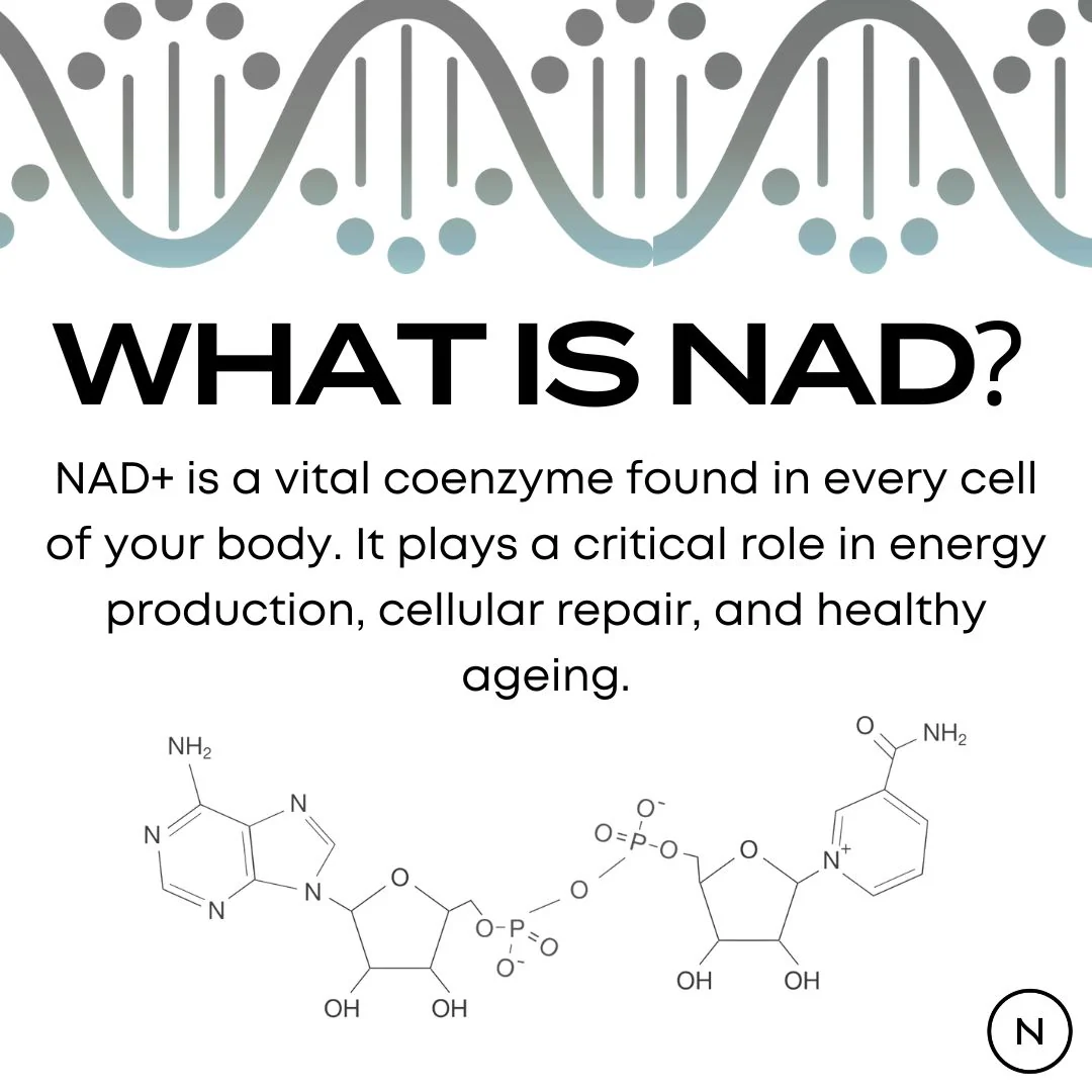 NAD Supplement (NR) - Image 3