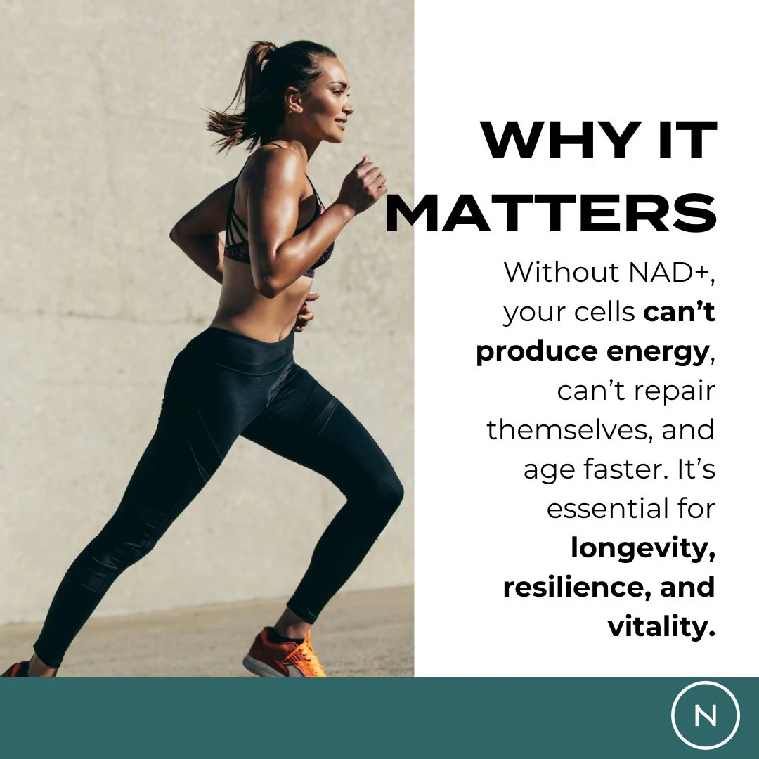 NAD Supplement (NR) - Image 4