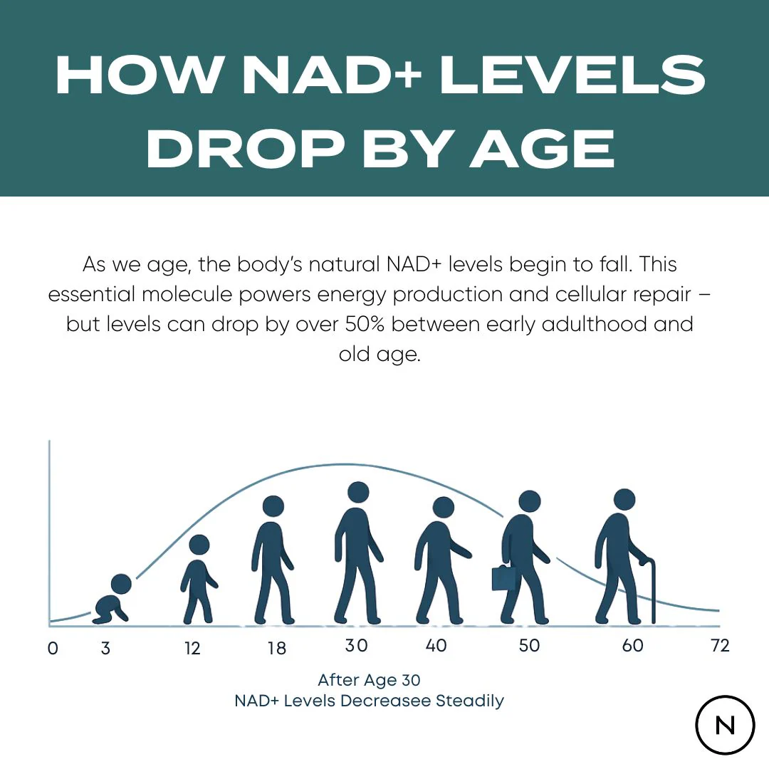 NAD Supplement (NR) - Image 5