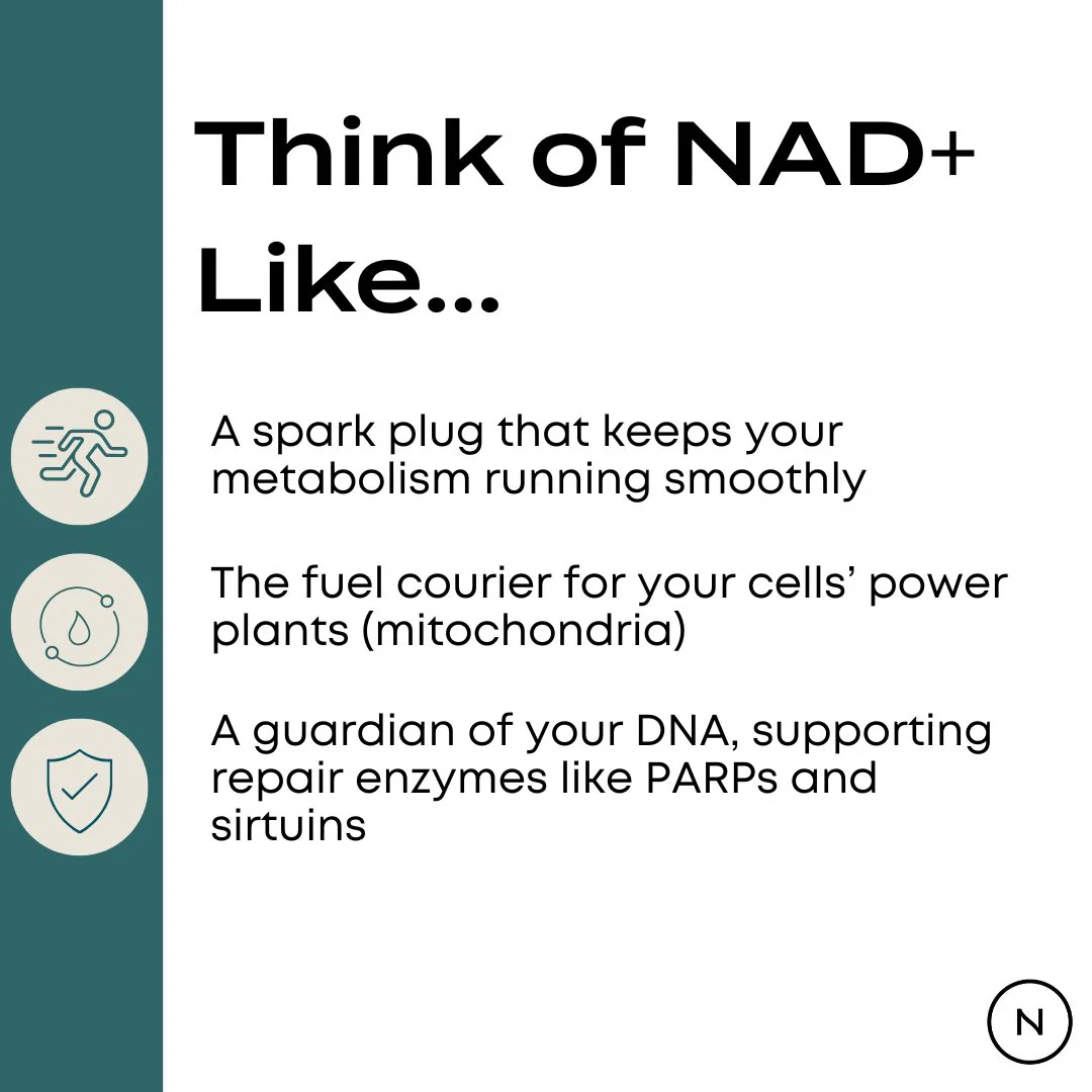 NAD Supplement (NR) - Image 7
