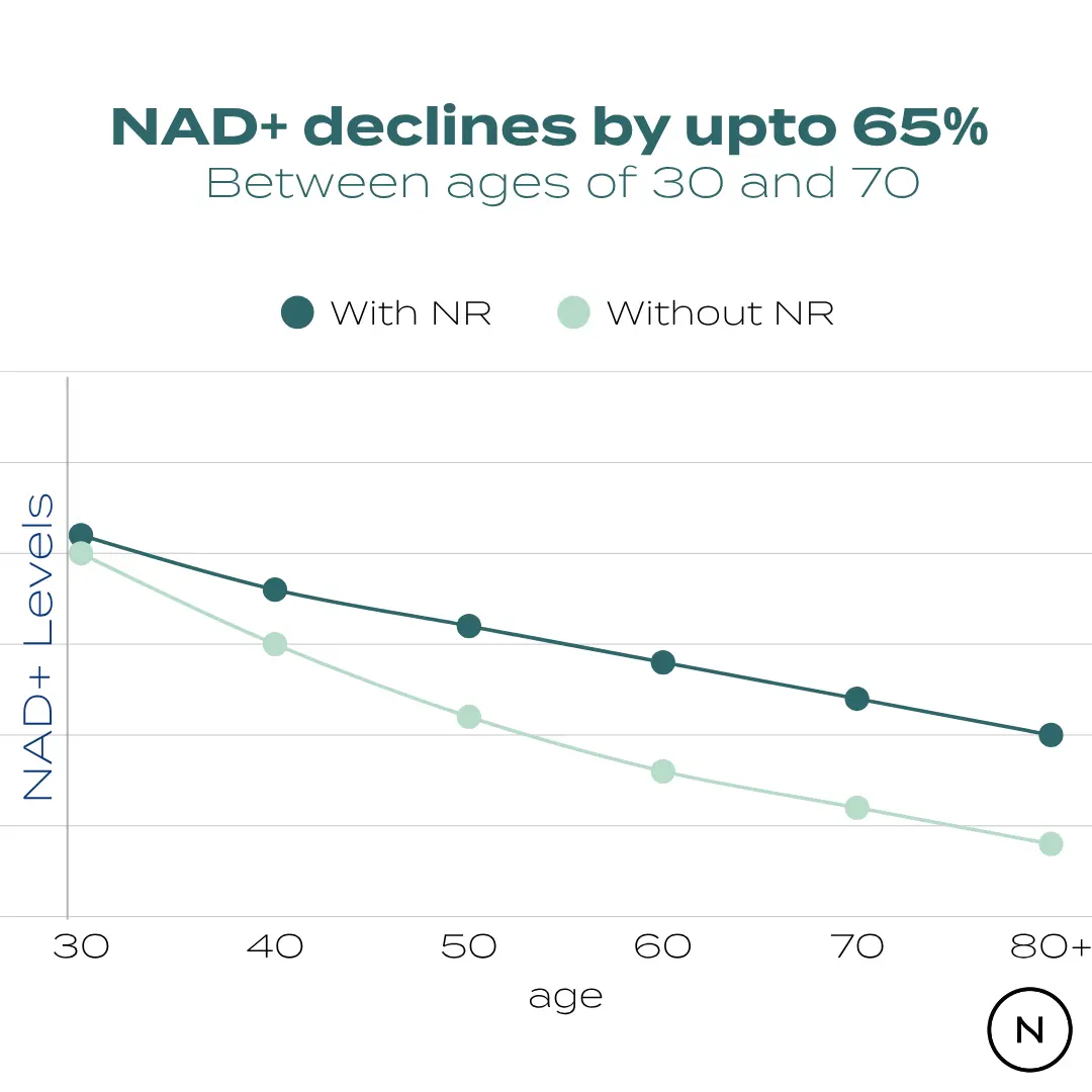 NAD Supplement (NR) - Image 6