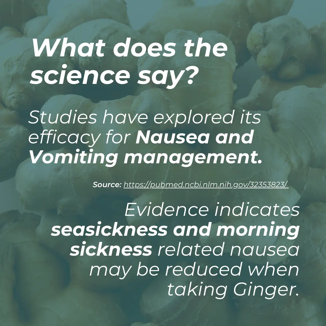 Organic Ginger Supplement - Image 5