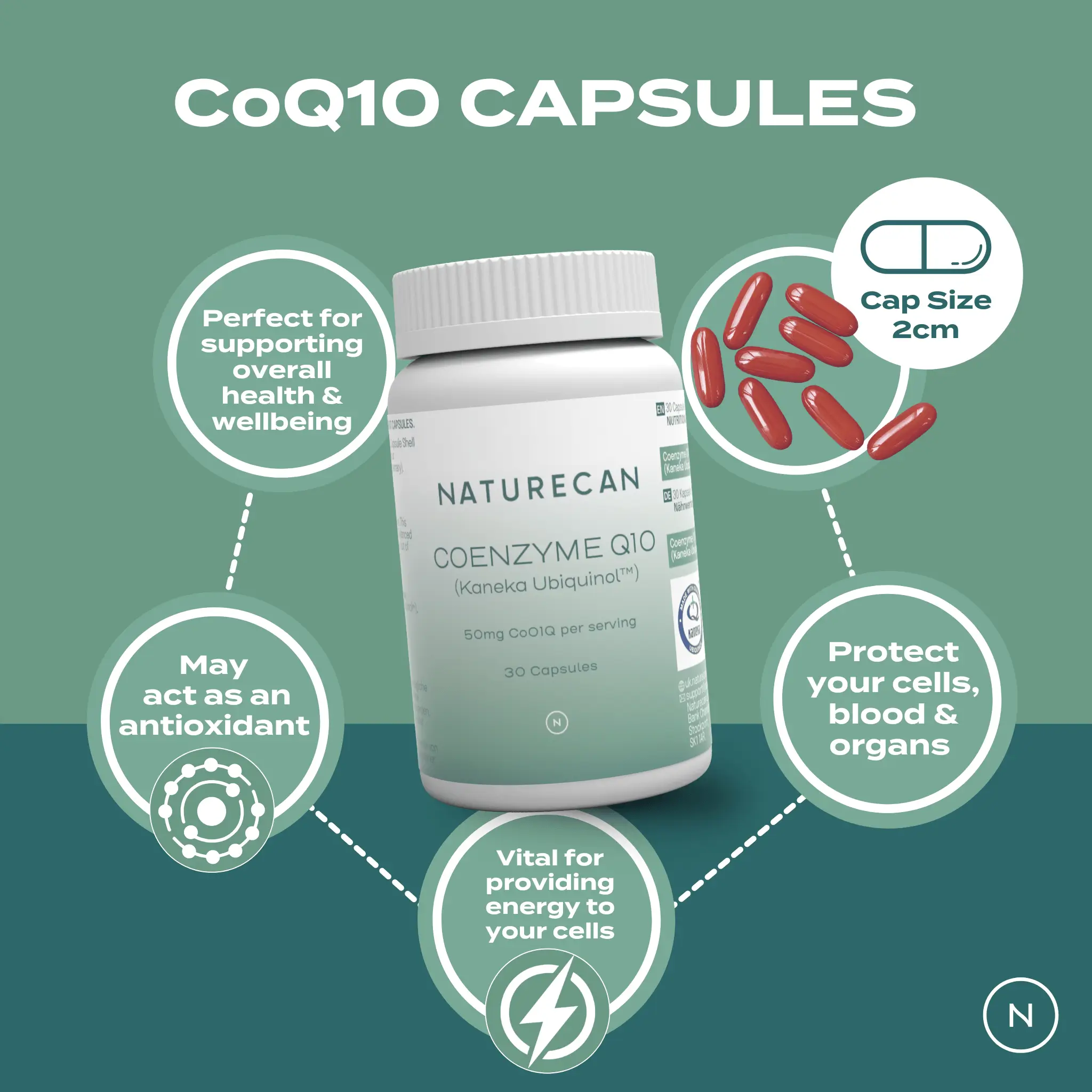 CoQ10 Capsules - Image 5
