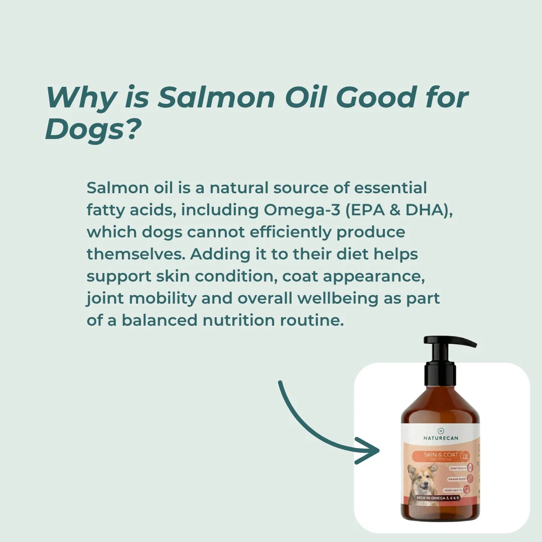 Salmon Oil For Dogs - Image 3