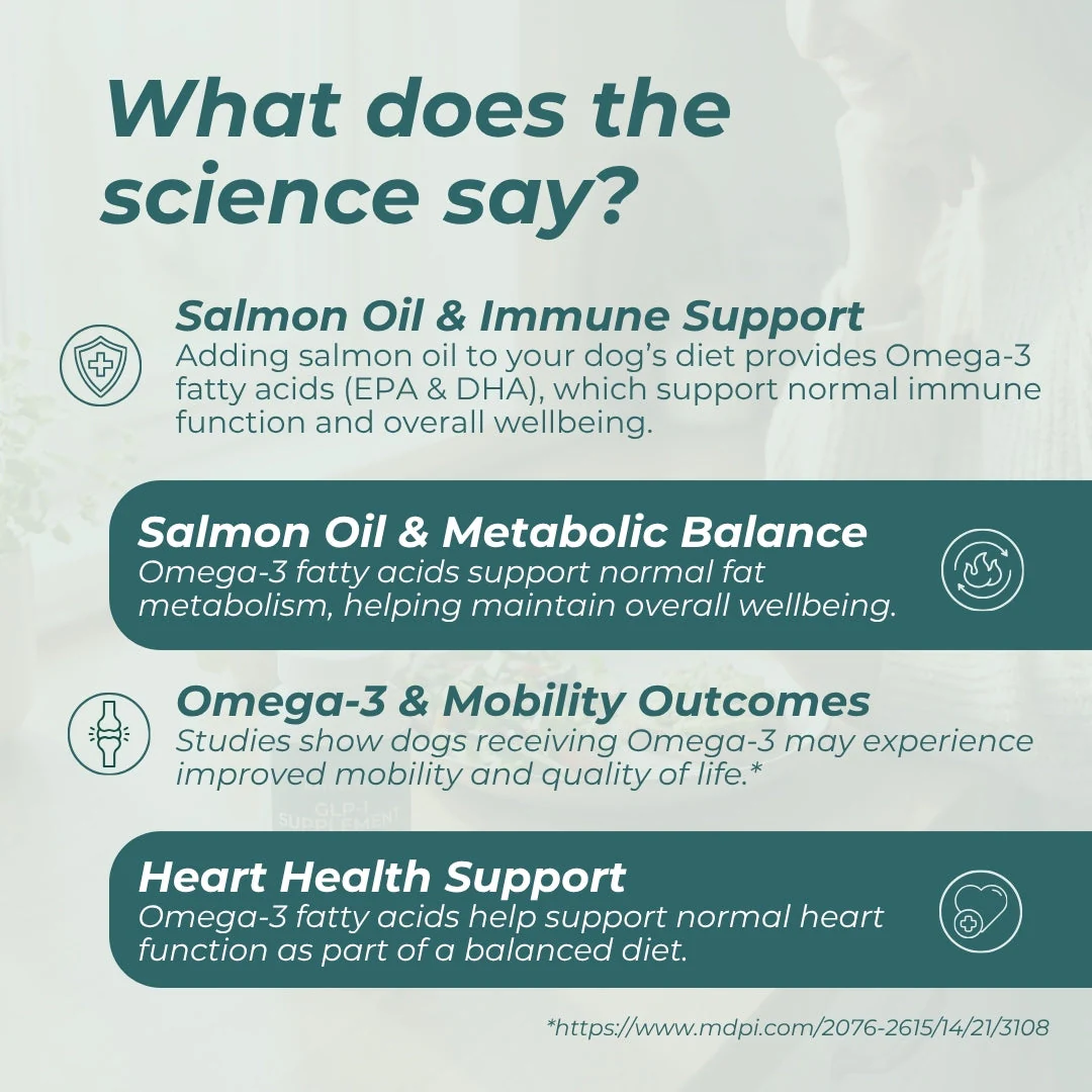 Salmon Oil For Dogs - Image 4