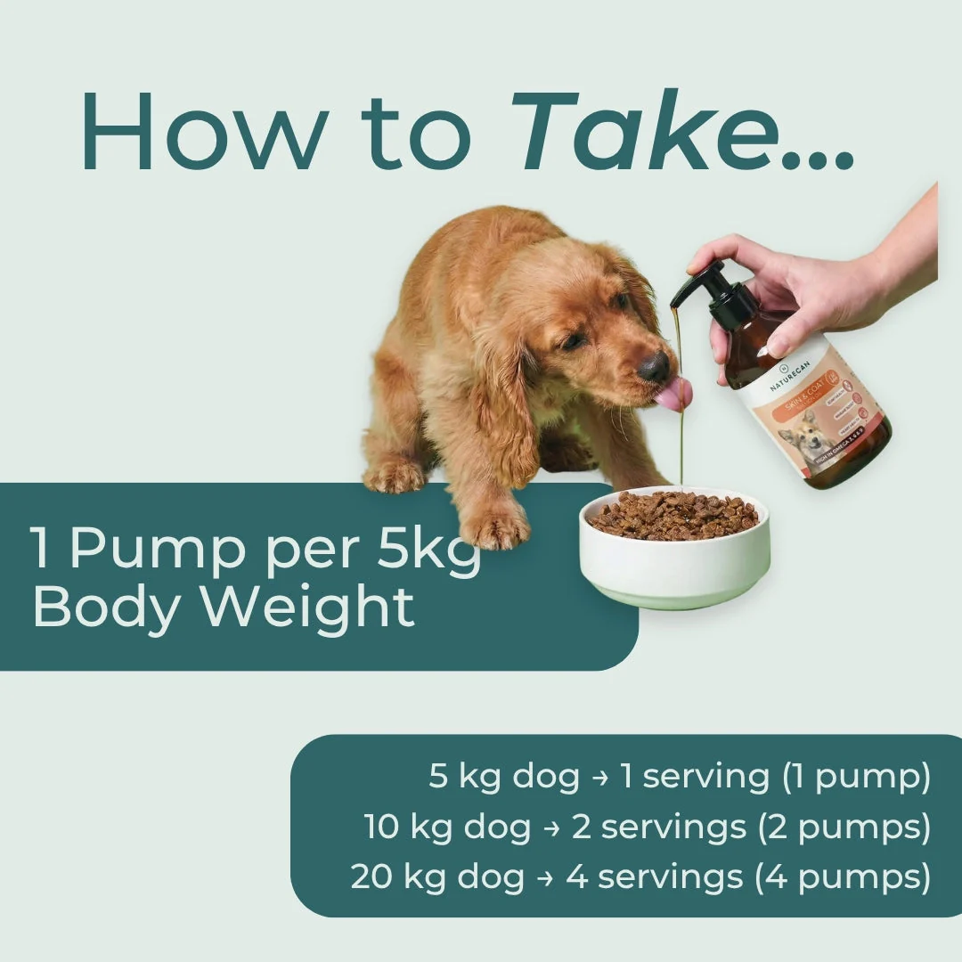 Salmon Oil For Dogs - Image 5