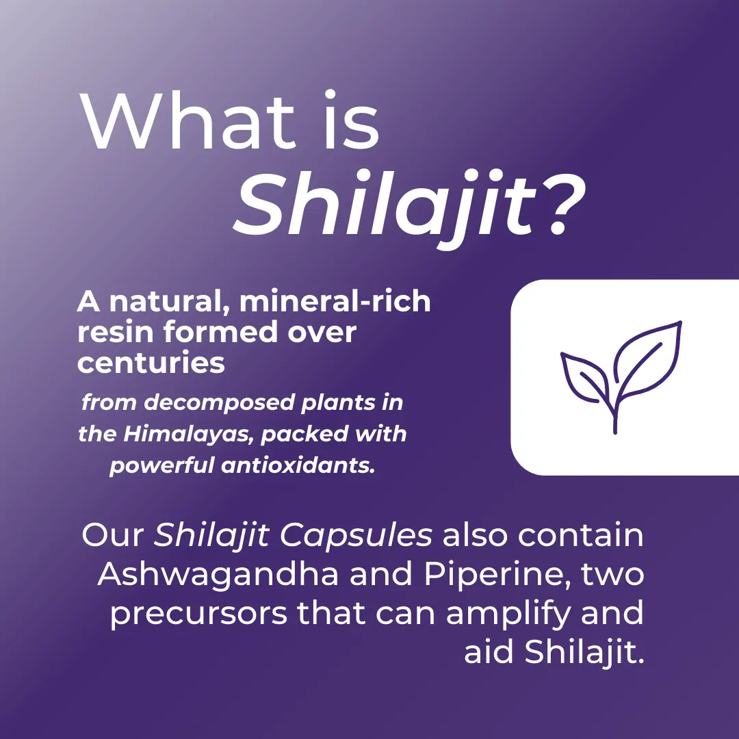 Shilajit Capsules - Image 7
