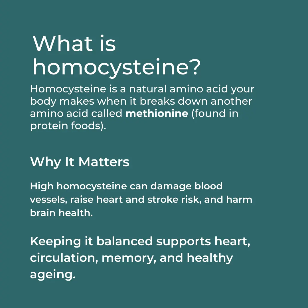 TMG Supplement - Image 5