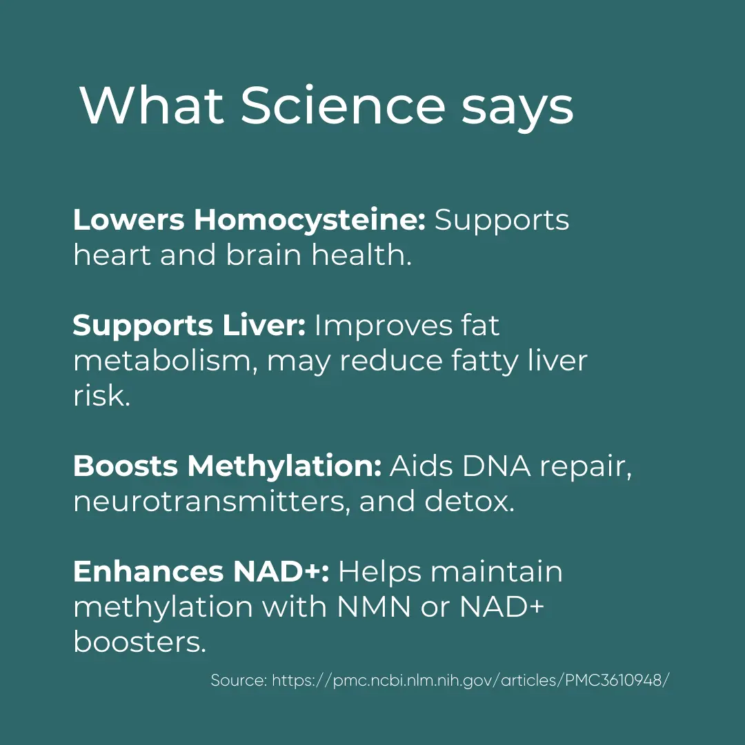 TMG Supplement - Image 6