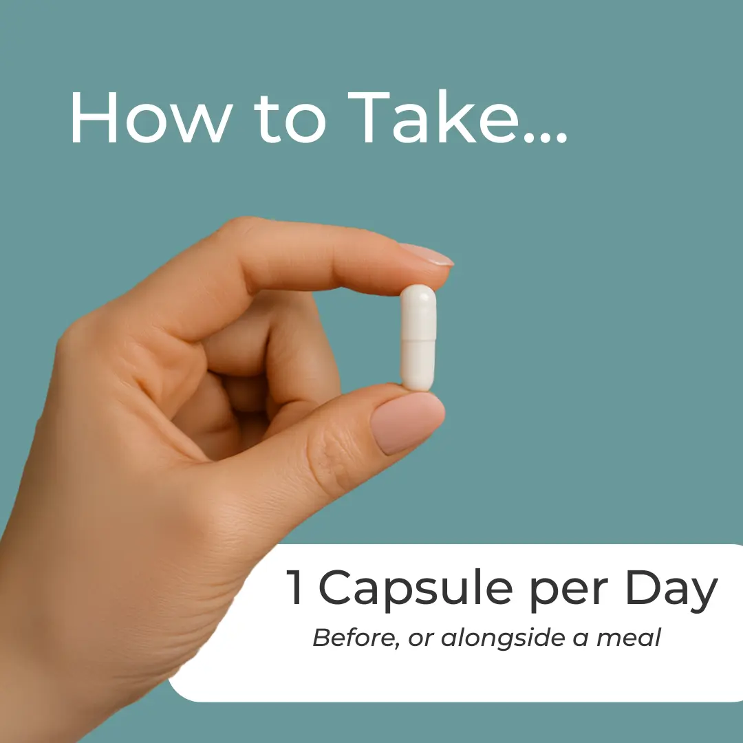 TMG Supplement - Image 8