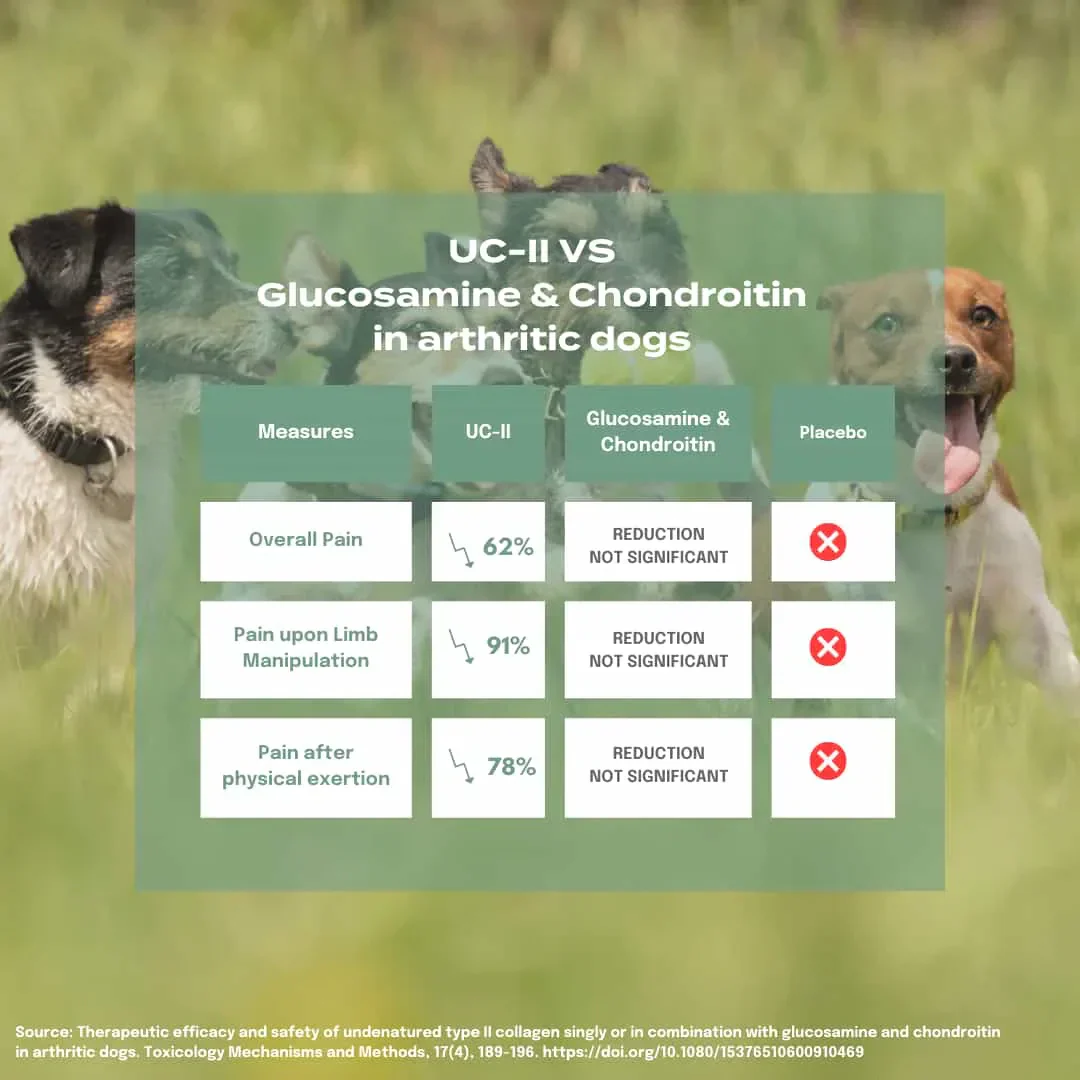 UC-II® Joint Care Oil for Dogs - Image 6