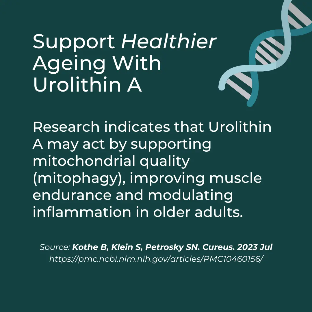 Urolithin A - Image 5